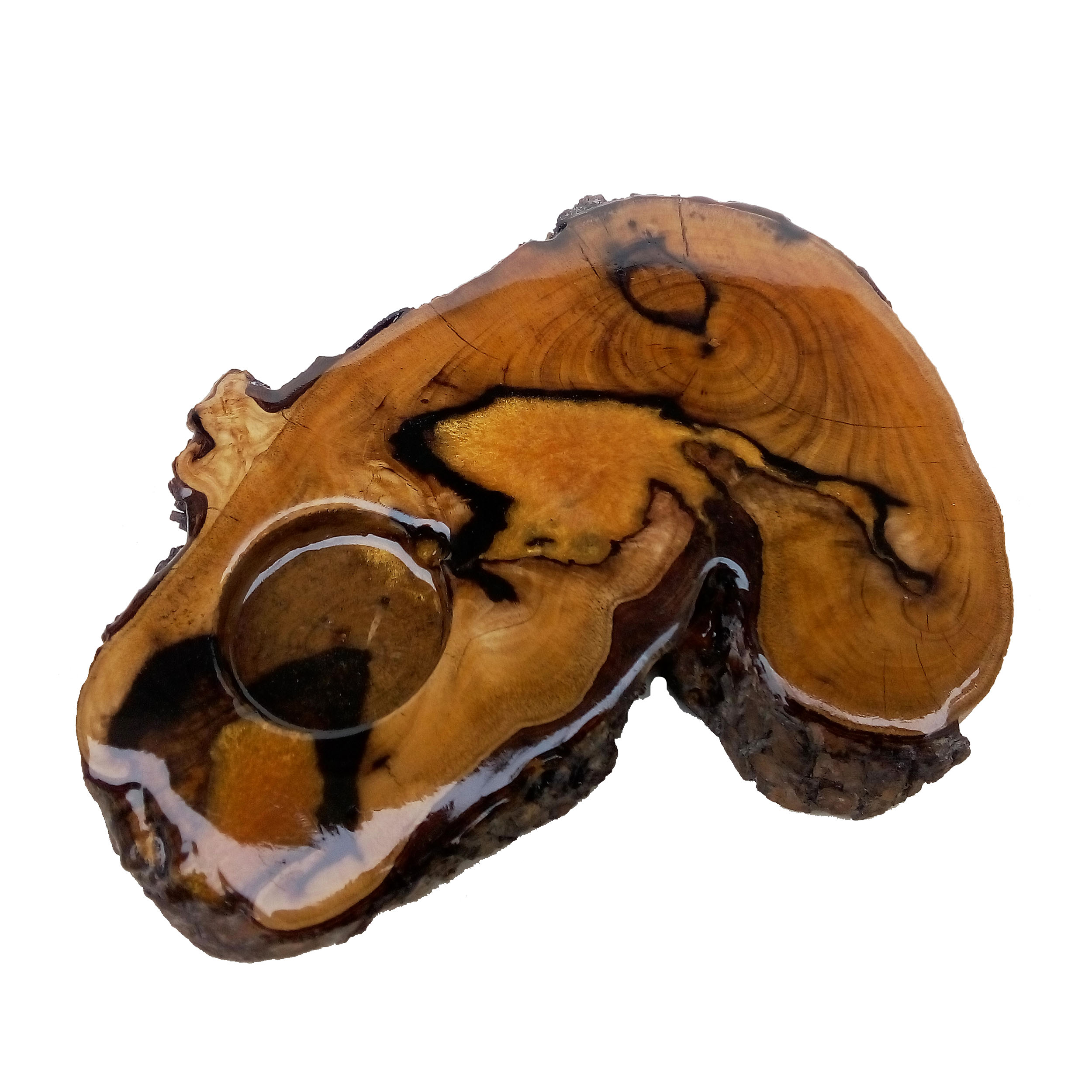 نازنین دانش